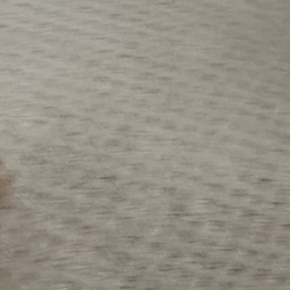 Coach Signature Tan and Yellow Wristlet - Picture 5 of 5